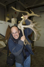 Antlers