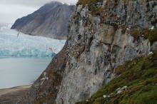 view from kittiwake colony