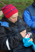 marking the kittiwake