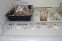 water sediment samples