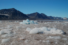 icebergs!