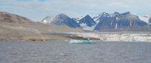 Iceberg in front of glacier