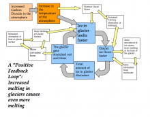 Glacier Melting positive feedback loop