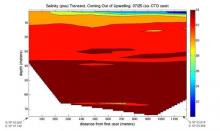 Salinity in the plume