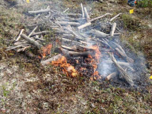 Larger branches were used to create a high severity fire on this plot. 