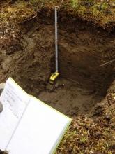 This is our first 45 cm-deep pit through the active layer of soil. 