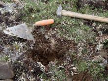 The trowel and hammer give scale to one of the soil sampling sites. 