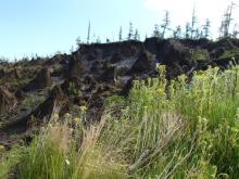 The permafrost cliffs of Duvannyi Yar pose considerable risk to travelers.