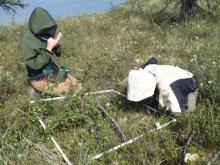 Peter Gazlin (right) and Lindsey Parkinson conduct a biodiversity survey.