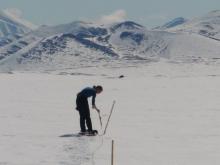  transect measurements 