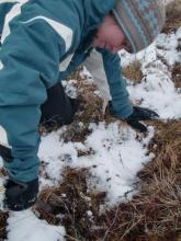 Margit cutting a soil brownie