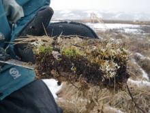 Close up of soil brownie