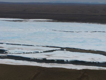 Lower Kuparuk River Alfeis