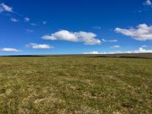 Open tundra east of Toolik