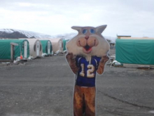 Flat Cat in Weatherport City