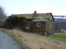 Sod roof