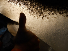 Small ice crystals at the base go the glacier.