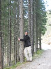 Tree Hugging in Norway