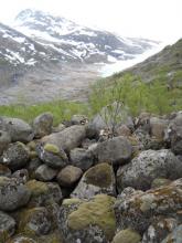 Walking path covered in rocks