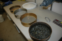 sieves