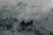 frost flowers