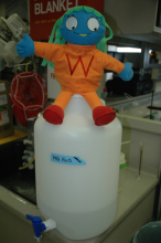 Ms. W. lab