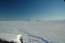 big sea ice cracks