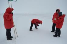 Steve, Michelle, Andrew and Joni in the field