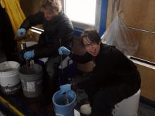 Terry and Michelle collect and clean sediment samples.