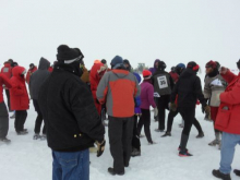 Runners at the start of the race