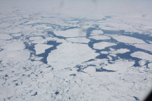 Sea ice