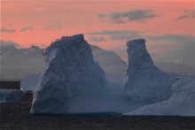 Icebergs at Cierva Point