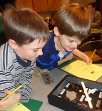 Students observing coral