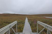 Boardwalk