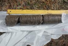 Permafrost core