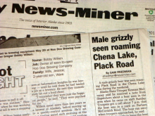 Grizzly Article