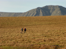 Hiking Back