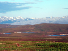 Above Toolik