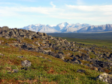 Marmot View of the Brooks Range