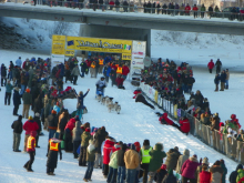 Yukon Quest Sled Dog Race