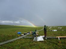 Harvest Rainbow