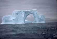 Iceberg losing pieces, Anvers Island, Antarctica