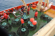 Fish Pots on the R/V Laurence M Gould