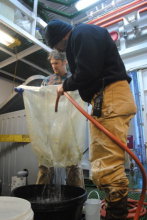 Dr. Craig Smith and David Honig in Antarctica