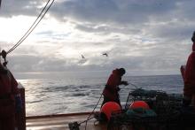 Marine Tech on the R/V Laurence M. Gould