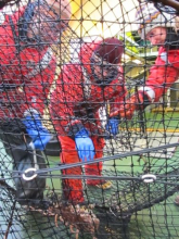 Unloading the fish pot in Dallman Bay, Antarctica