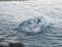 Swimming in Antarctica