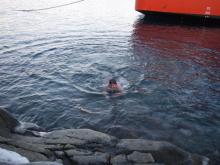 Swimming in Antarctica