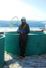 Dr. Lisa Crockett transferring fish at Palmer Station