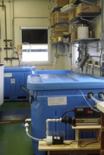 Aquarium Lab at Palmer Station, Antarctica